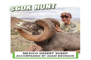 2026 Desert Sheep Hunt in Mexico Thumbnail