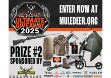 Skull Bound Chronicles Thumbnail