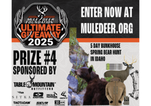 Ultimate Spring Black Bear Hunt-Idaho Thumbnail